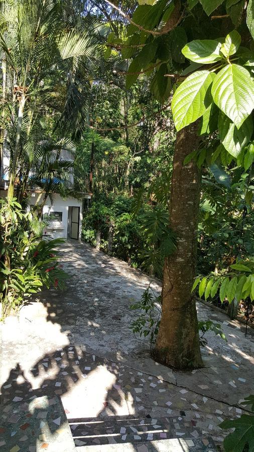 Hotel Quinta Avenida Palenque Buitenkant foto